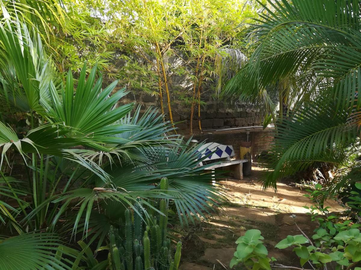 Hôtel Harvest House Nicaragua à León Extérieur photo