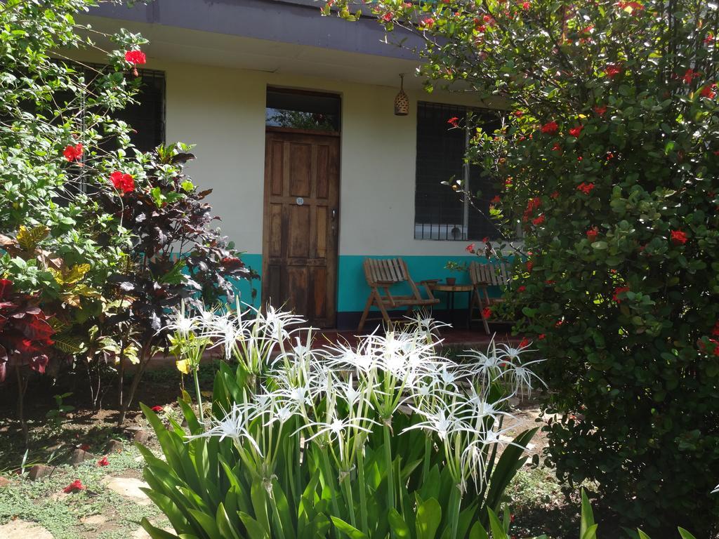 Hôtel Harvest House Nicaragua à León Extérieur photo