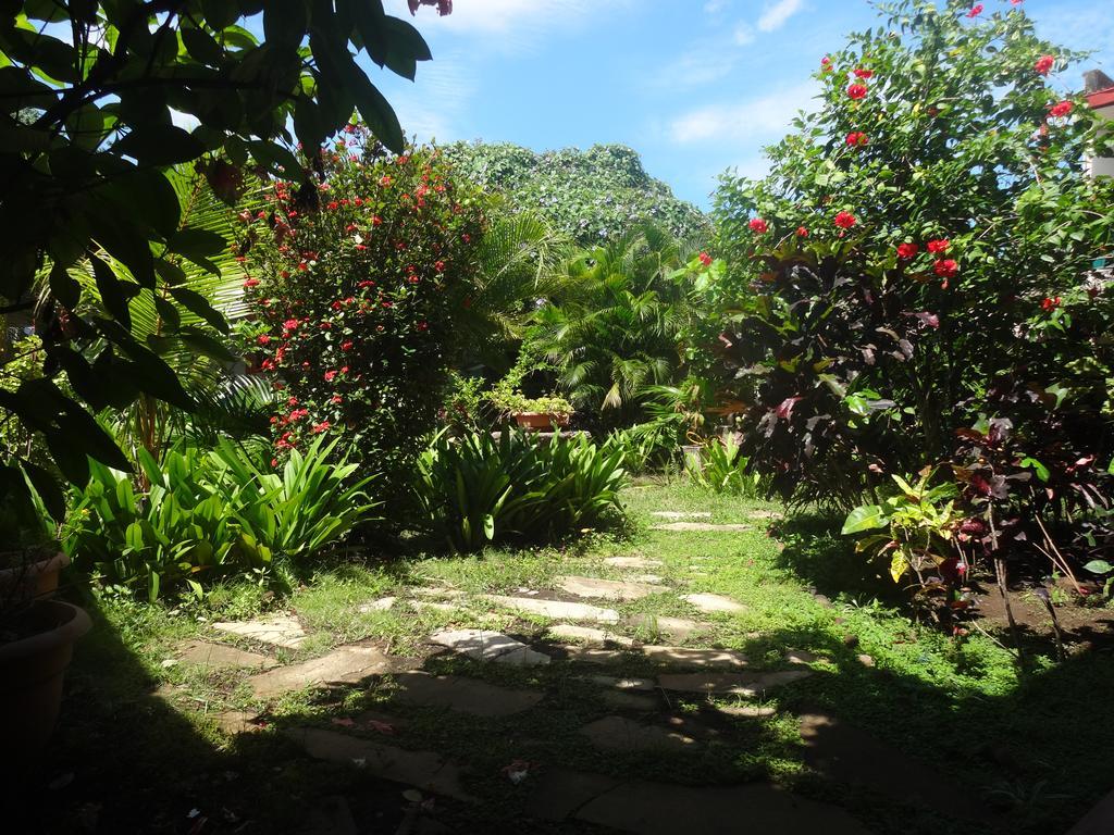 Hôtel Harvest House Nicaragua à León Extérieur photo