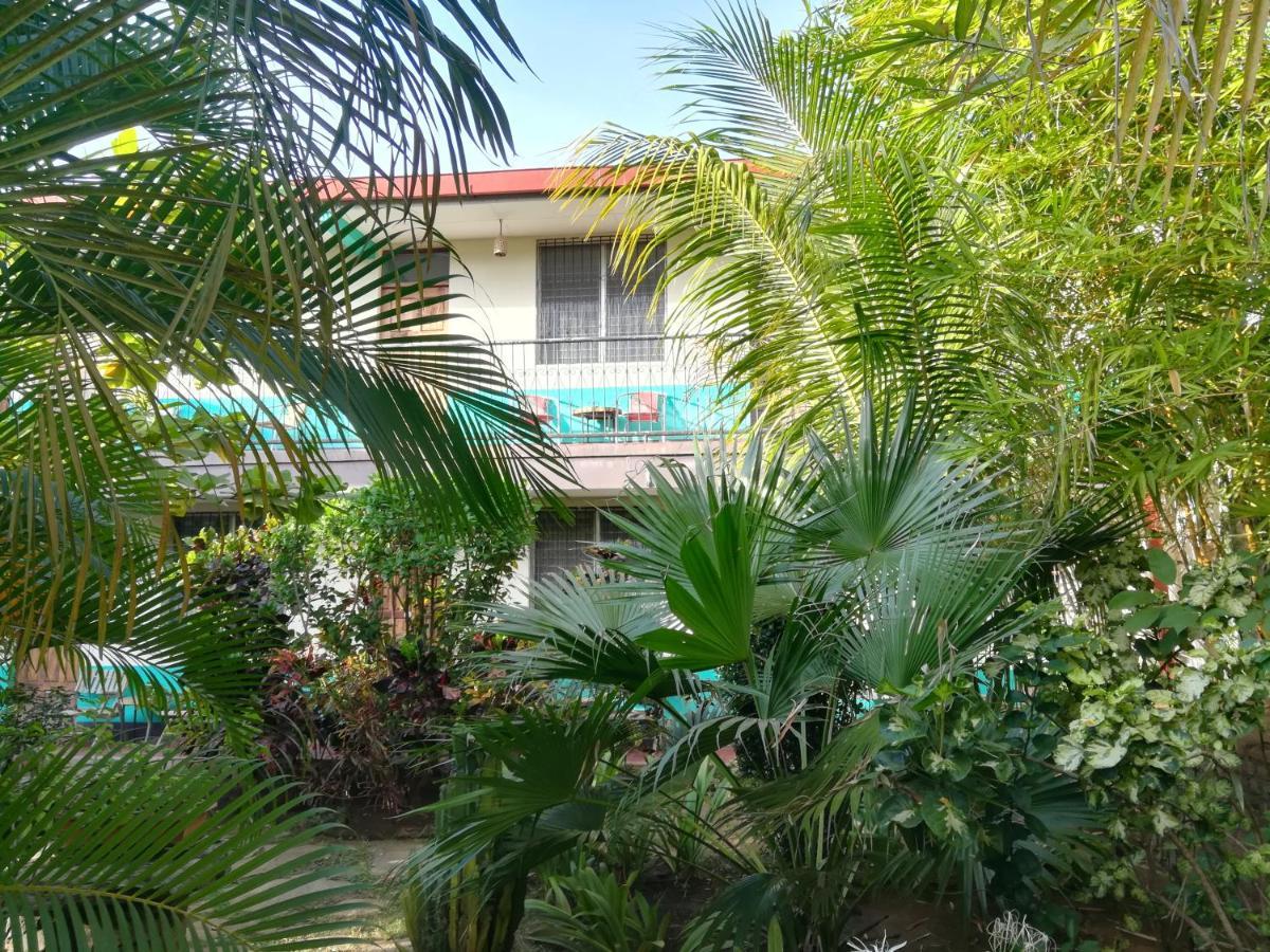 Hôtel Harvest House Nicaragua à León Extérieur photo