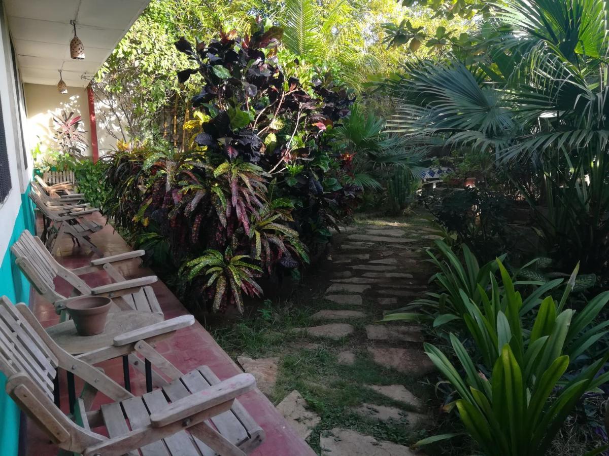 Hôtel Harvest House Nicaragua à León Extérieur photo